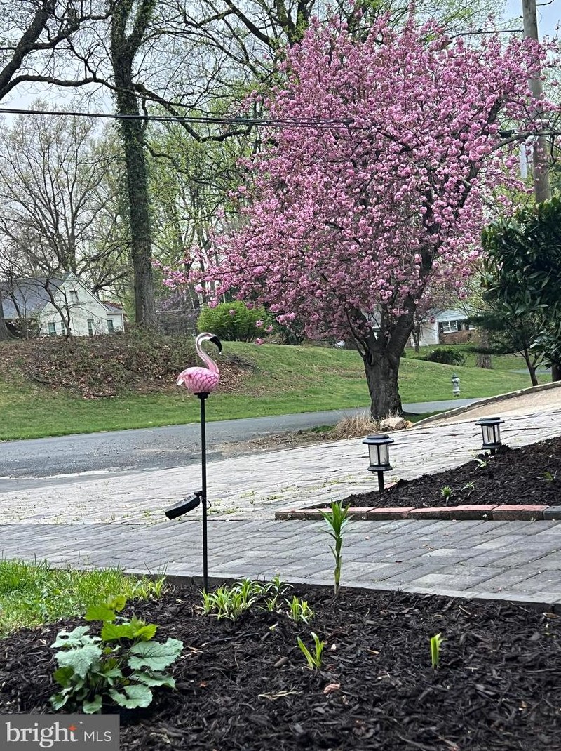 3113 Verona Ct, Silver Spring MD exterior