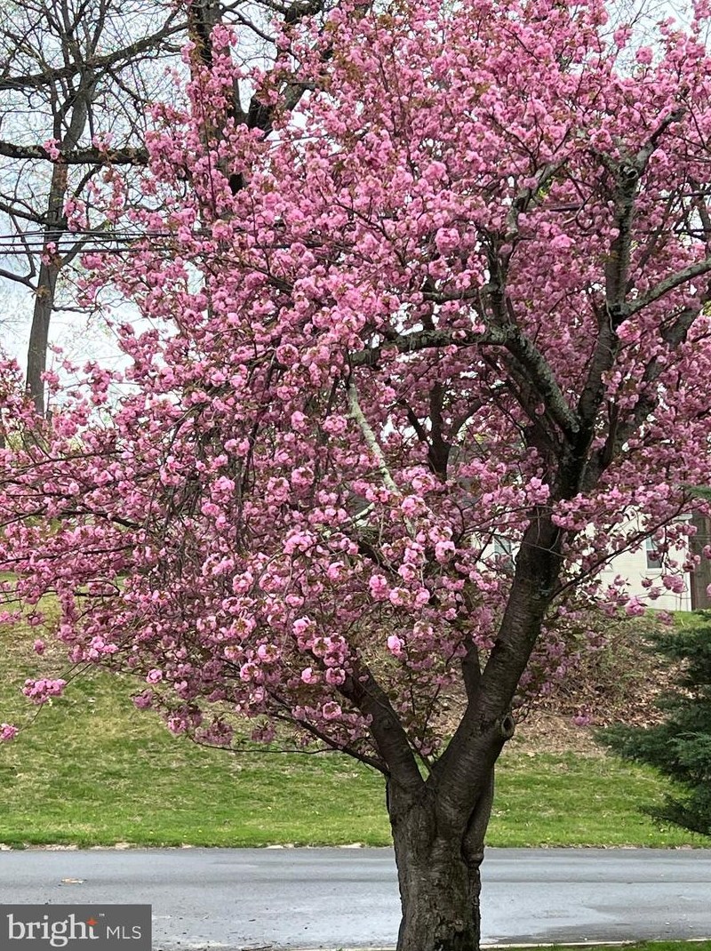 3113 Verona Ct, Silver Spring MD exterior