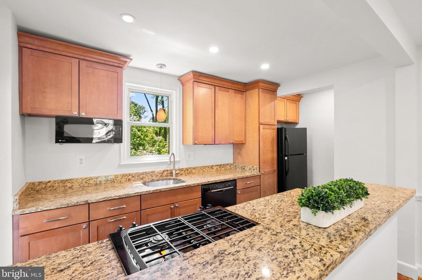 252 Whitmoor Ter, Silver Spring MD 20901-1523 exterior