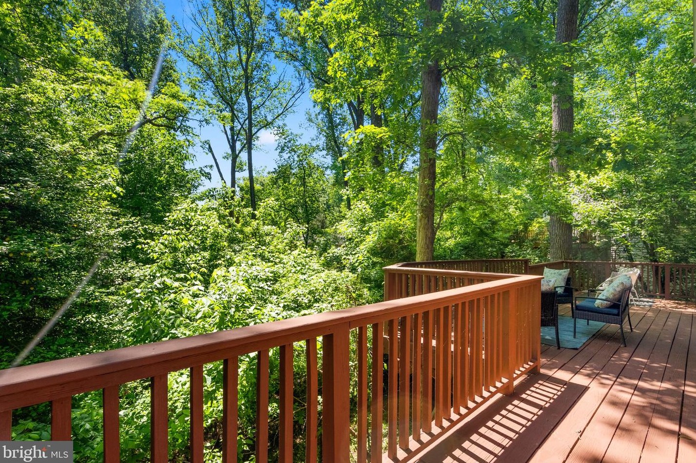 252 Whitmoor Ter, Silver Spring MD 20901-1523 exterior