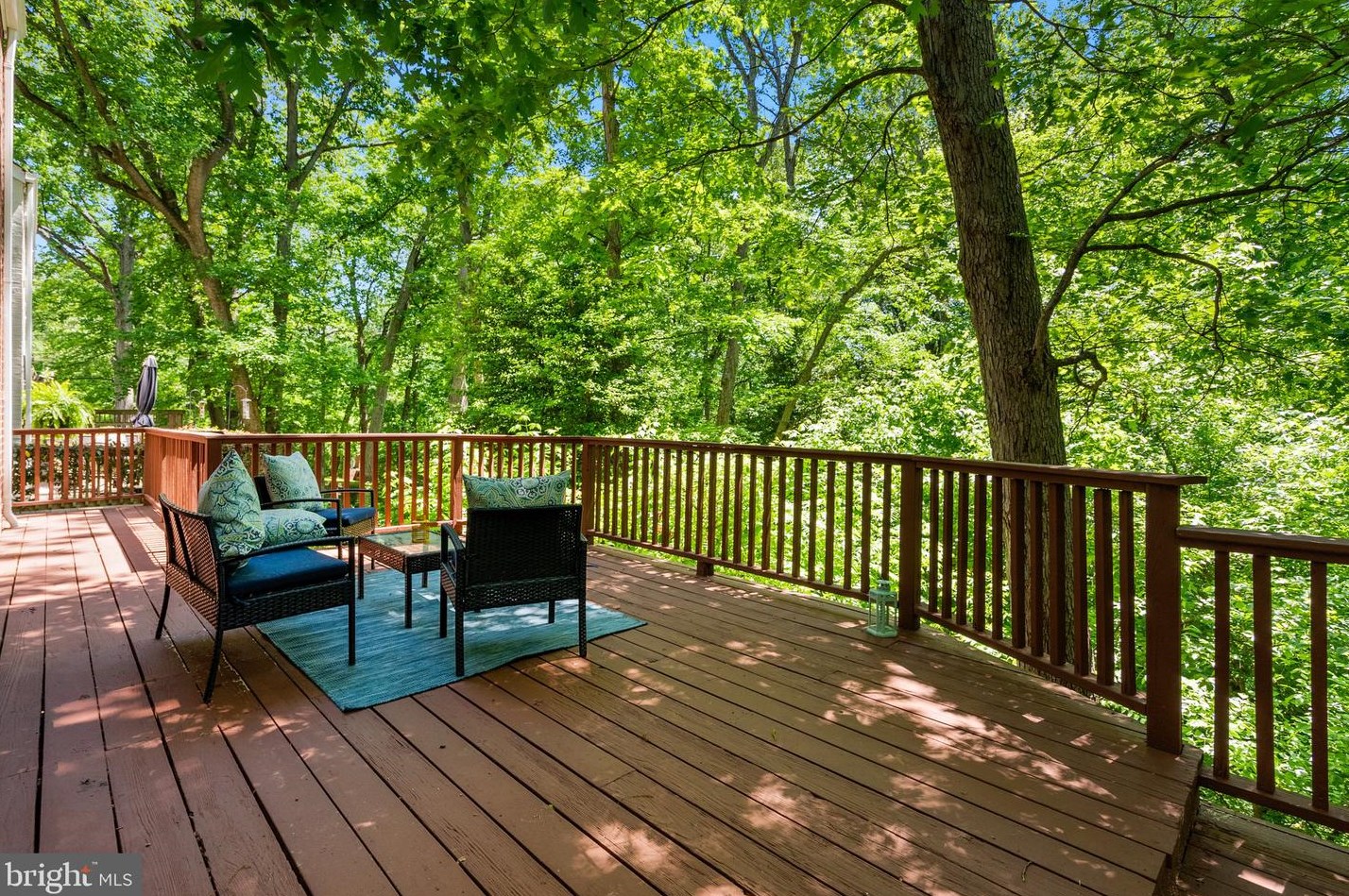 252 Whitmoor Ter, Silver Spring MD 20901-1523 exterior