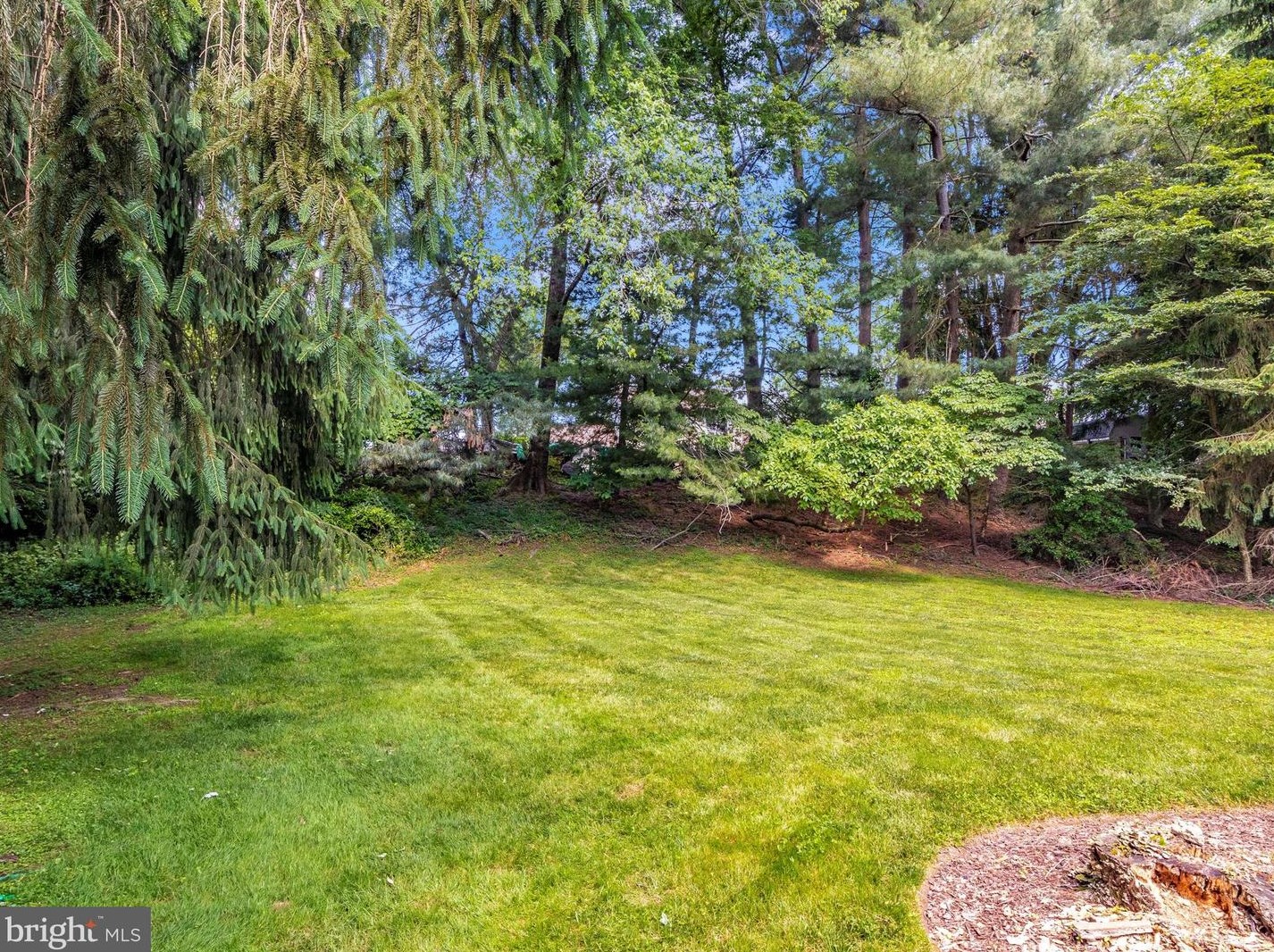 14124 Sturtevant Rd, Silver Spring MD 20905-4456 exterior