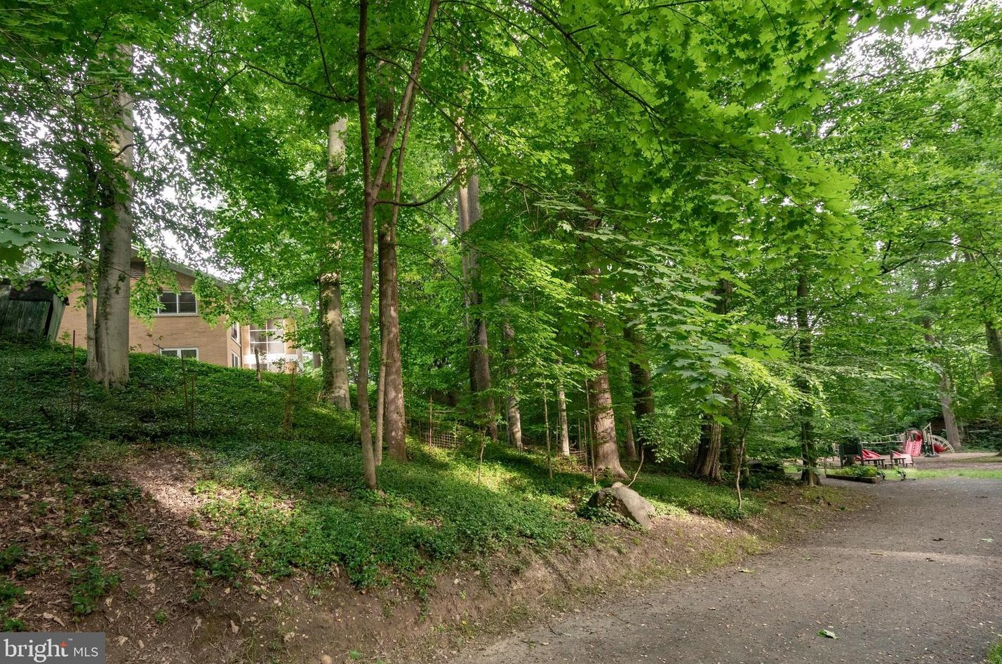 7320 Glenside Dr, Silver Spring MD 20912-7327 exterior