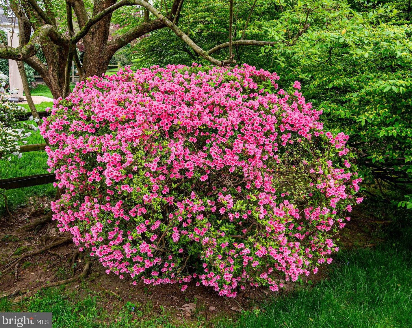 1216 Fallsmead Way, Rockville MD 20854-5549 exterior