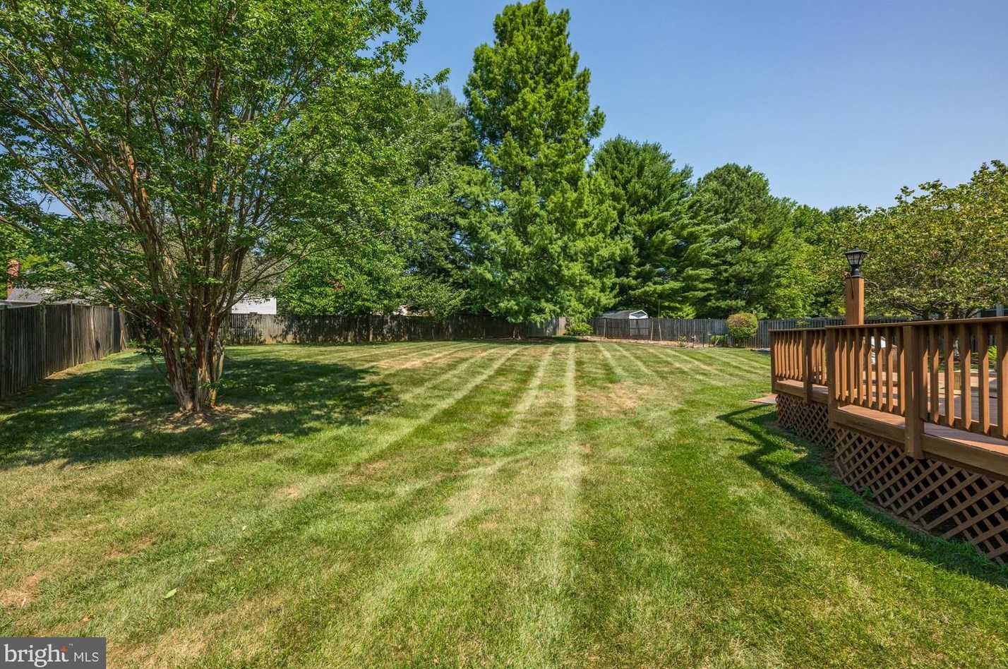 14716 Carona Dr, Silver Spring MD exterior