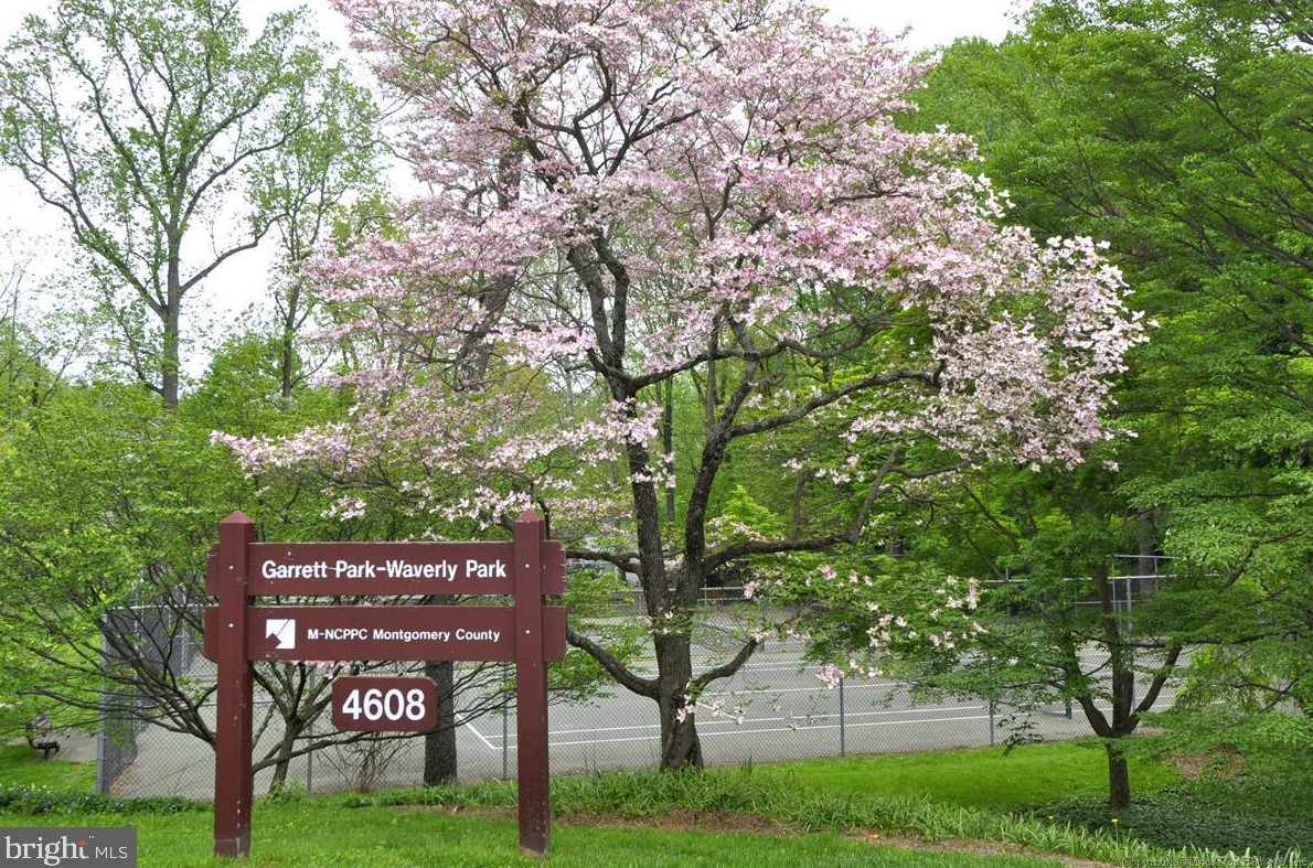 5514 Charles St, Bethesda MD 20814-1615 exterior