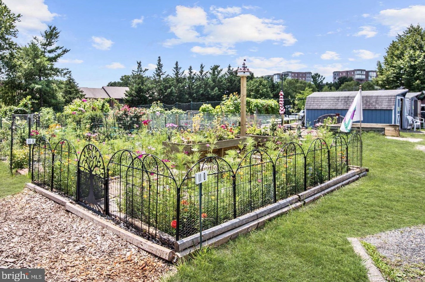 3301 Leisure World Blvd, Silver Spring MD  20906-1751 exterior