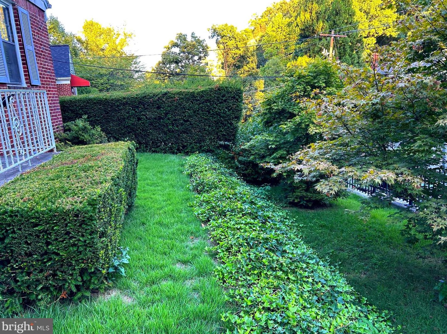 237 Dl Dr, Silver Spring MD 20910-1608 exterior