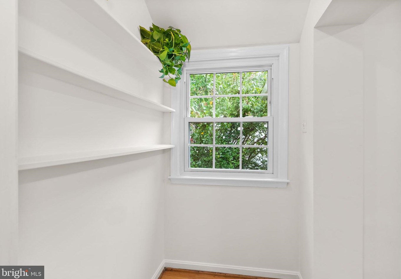 9906 Woodburn Rd, Silver Spring MD 20901-2729 exterior