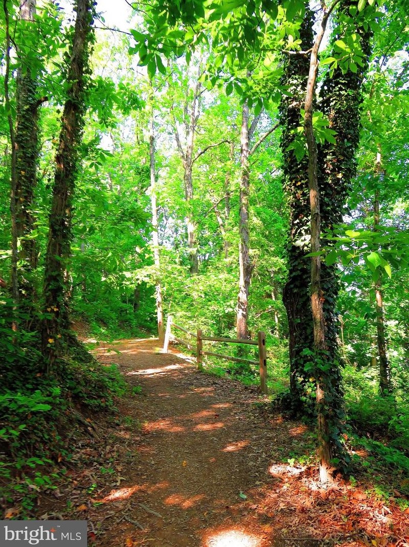 1208 Jackson Ave, Silver Spring MD 20912-7531 exterior