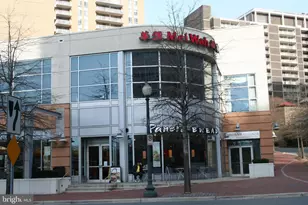 4601 N Park Ave, Chevy Chase, MD 20815 - Photo 57