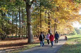 15300 Beaverbrook Ct, Silver Spring, MD 20906 - Photo 37