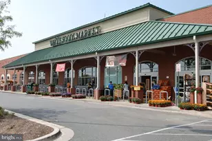 713 Bright Meadow Dr, Gaithersburg, MD 20878 - Photo 53