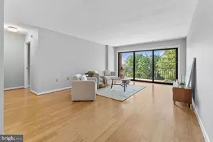 8308 Flower Ave, Takoma Park, MD 20912 - Photo 7