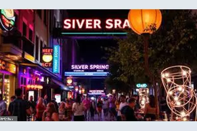 11321 College View Drive, Silver Spring, MD 20902 - Photo 69