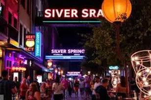 11321 College View Dr, Silver Spring, MD 20902 - Photo 69