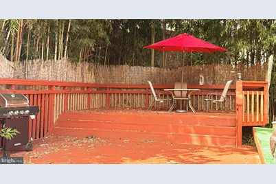 11321 College View Drive, Silver Spring, MD 20902 - Photo 43