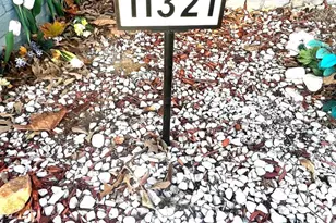 11321 College View Dr, Silver Spring, MD 20902 - Photo 57