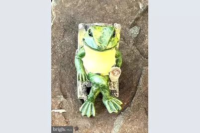 11321 College View Drive, Silver Spring, MD 20902 - Photo 47