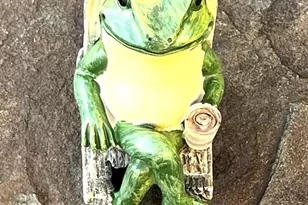 11321 College View Dr, Silver Spring, MD 20902 - Photo 47