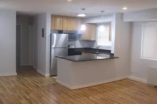 116 Lee Ave, Takoma Park, MD 20912 - Photo 41