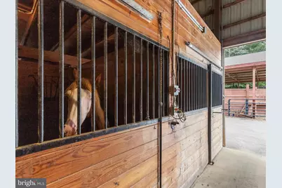 10901 Moxley Road, Damascus, MD 20872 - Photo 69