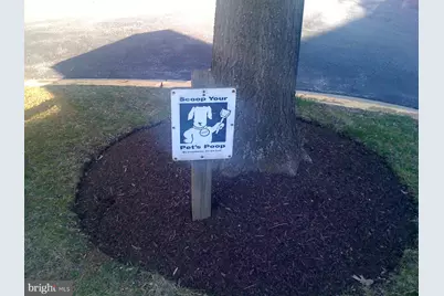 3301 Sir Thomas Drive #6-B-41, Silver Spring, MD 20904 - Photo 49