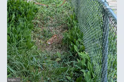 14612 Fairacres Road, Silver Spring, MD 20905 - Photo 49