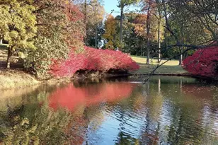 15101 Interlachen Dr, Silver Spring, MD 20906 - Photo 43