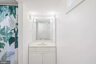 32 W Irving St, Chevy Chase, MD 20815 - Photo 63