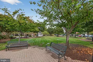 801 Pleasant Dr, Rockville, MD 20850 - Photo 31