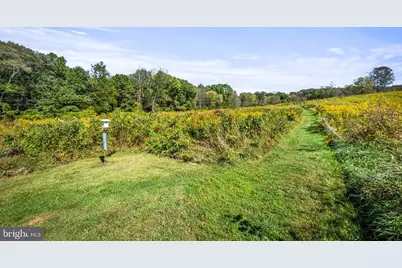 660 Greenbridge Road, Brookeville, MD 20833 - Photo 53