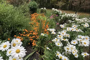 12413 Pueblo Rd, Gaithersburg, MD 20878 - Photo 59