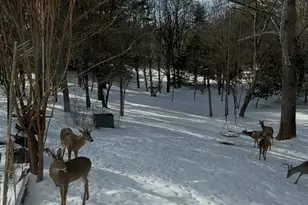 12413 Pueblo Rd, Gaithersburg, MD 20878 - Photo 67