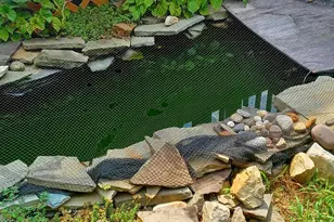 17 Blackburn Ct, Burtonsville, MD 20866 - Photo 41