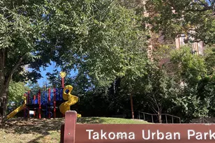 418 Boyd Ave, Takoma Park, MD 20912 - Photo 39