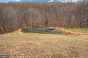 10891 Bethesda Church Rd, Damascus, MD 20872 - Photo 43