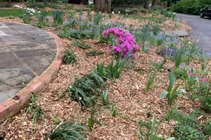 6315 Kenhowe Dr, Bethesda, MD 20817 - Photo 5