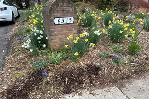 6315 Kenhowe Dr, Bethesda, MD 20817 - Photo 3