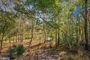 10132 Colebrook Ave, Potomac, MD 20854 - Photo 7