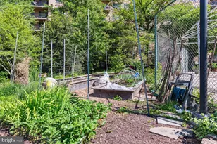 1900 Lyttonsville Rd, Silver Spring, MD 20910 - Photo 5