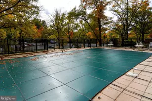 4620 N Park Ave, Chevy Chase, MD 20815 - Photo 45