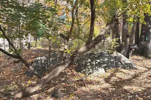 11512 Le Havre Dr, Potomac, MD 20854 - Photo 113