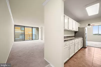 4 Monroe Street #4-810, Rockville, MD 20850 - Photo 17