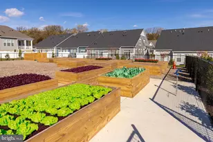 13240 Petrel St, Clarksburg, MD 20871 - Photo 47