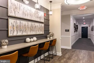 13240 Petrel Street #5207, Clarksburg, MD 20871 - Photo 21