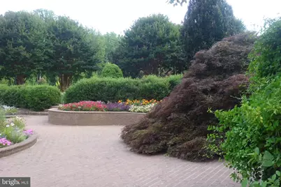 3808 Delano Street, Silver Spring, MD 20902 - Photo 65