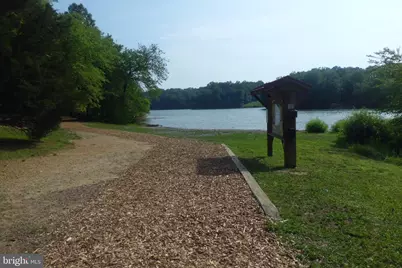 3808 Delano Street, Silver Spring, MD 20902 - Photo 11