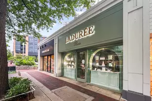 4817 Chevy Chase Blvd, Chevy Chase, MD 20815 - Photo 61