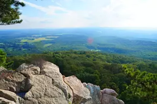 19332 Cissel Manor Dr, Poolesville, MD 20837 - Photo 69